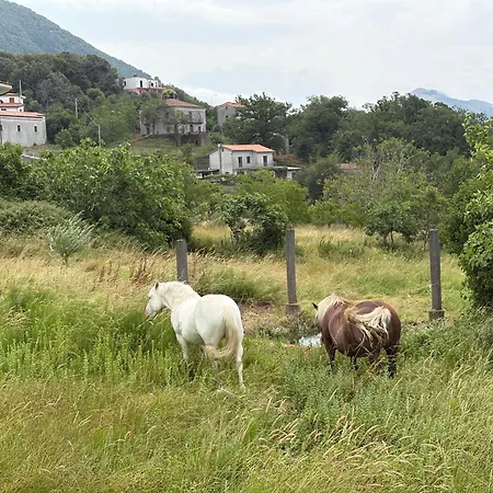 Nyaraló Casa Di Mael