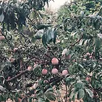 度假居 Casa Di Mael