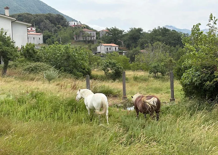 Hébergement de vacances Casa Di Mael
