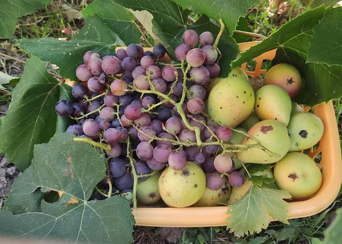 Casa Di Mael Hébergement de vacances Maratea