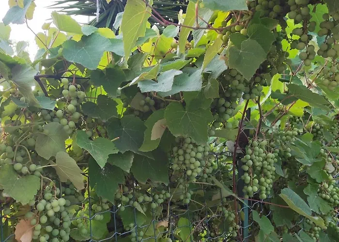Casa Di Mael * Maratea