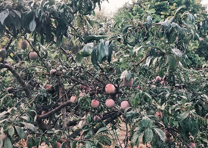 Hébergement de vacances Casa Di Mael